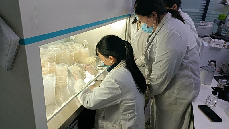 微生物檢測濾膜法操作規(guī)程是怎么樣的？